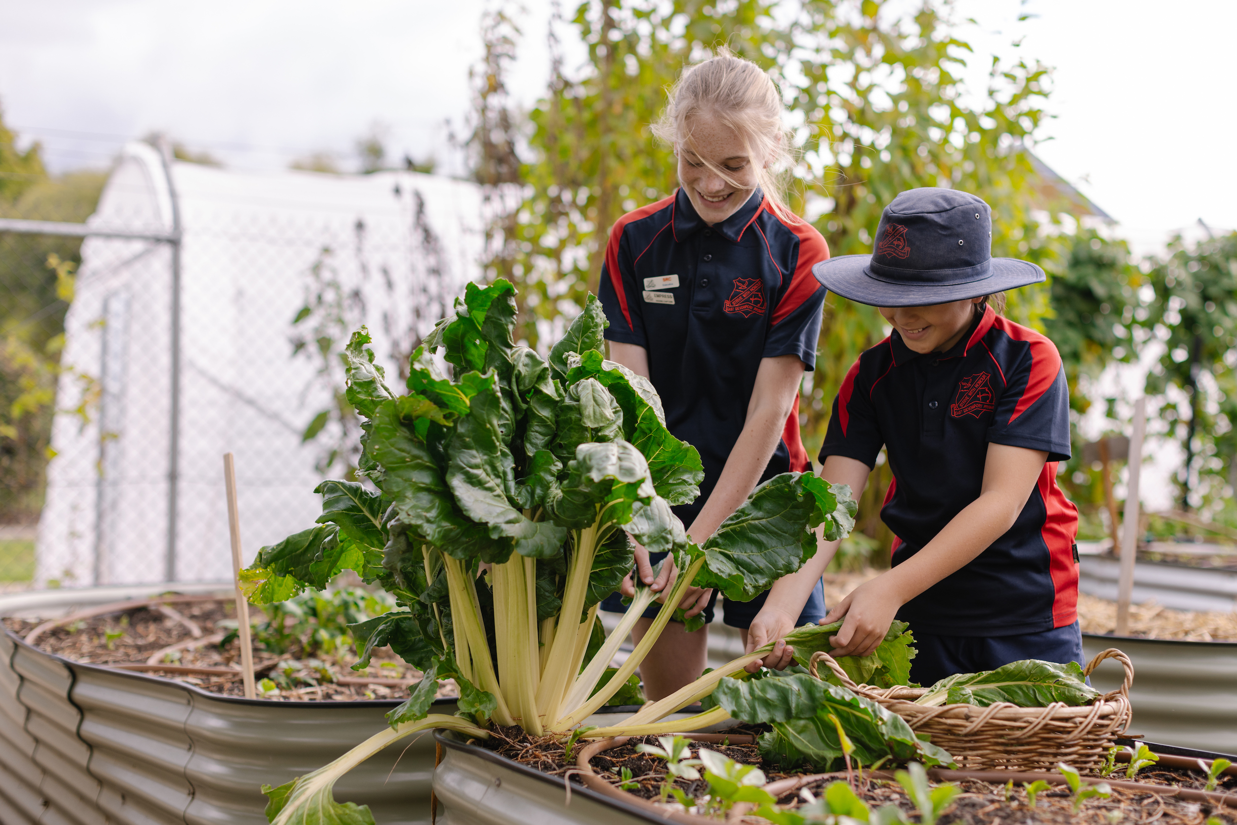 Local and Seasonal Food